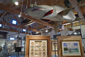 fly fishing museum exhibit