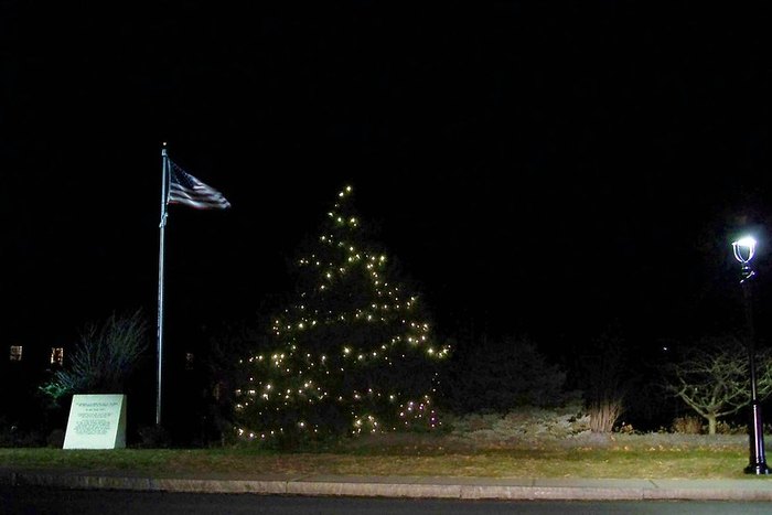 Town Christmas Tree Lighting
