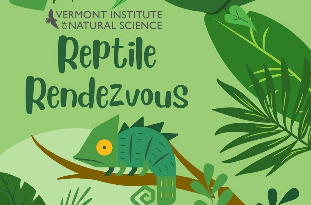 Reptile Rendezvous by Vermont Institute of Natural Science